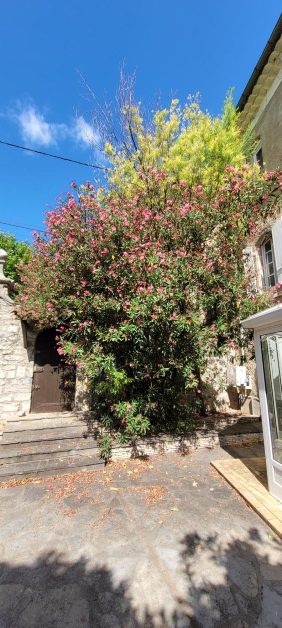 Le Domaine Du Soulier -Gite Et Chambres D'Hotes - La Maison Du Gardien Tornac Esterno foto